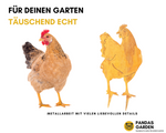 Lebensgroßer Hahn - Hühnchen | 36cm